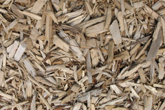 biomass boilers Hollow Oak
